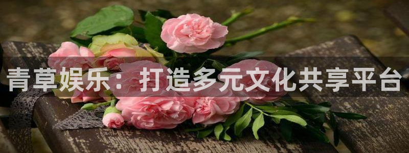 众腾娱乐
